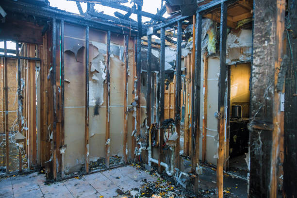 Professional Smoke Damage Removal technician working in Bordentown, NJ